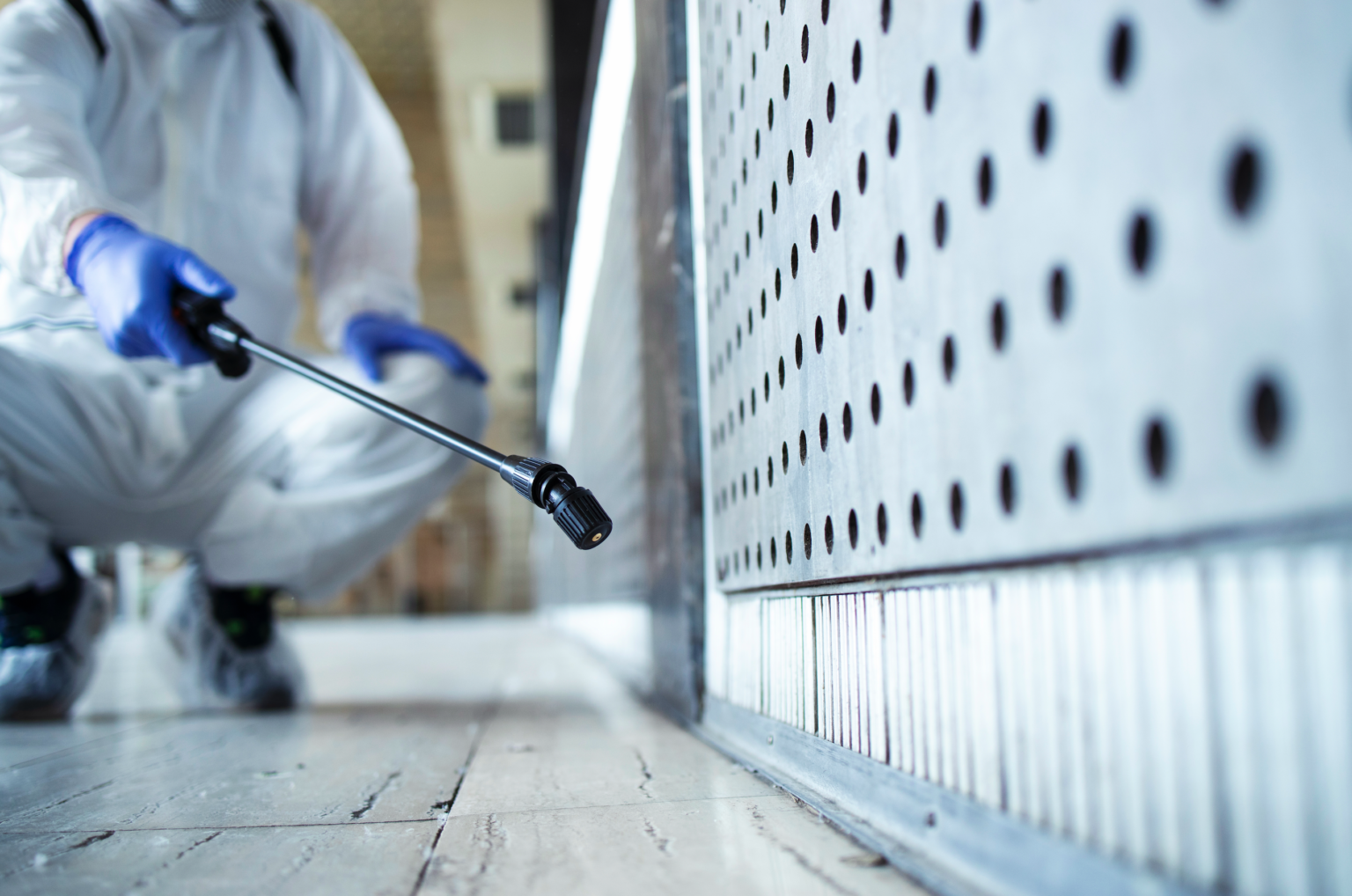Why Termite Control Should Be a Priority for Every Homeowner