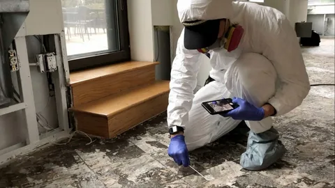 Mold Air Quality Testing: Protecting Indoor Health