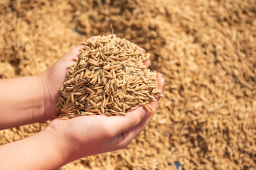 How a Reliable Grain Handling System Can Maximize Profit
