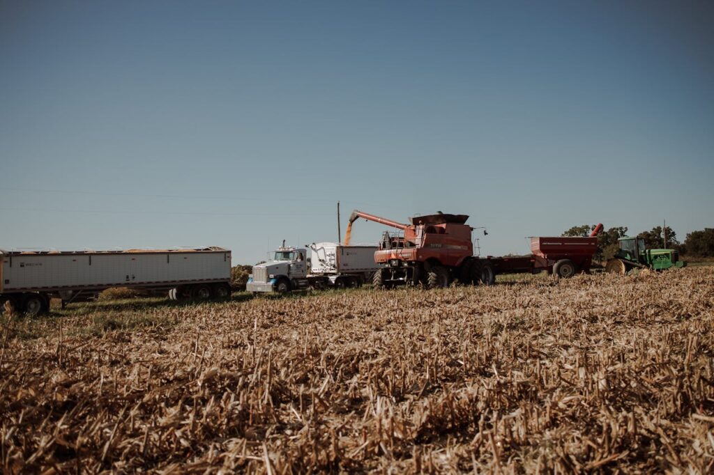 11 Essential Services for Building Reliable Rural Infrastructure